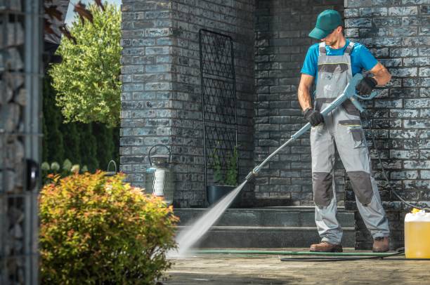 Best Sidewalk and Walkway Cleaning  in Marissa, IL