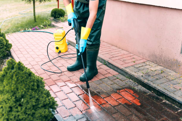 Best Gutter Cleaning  in Marissa, IL