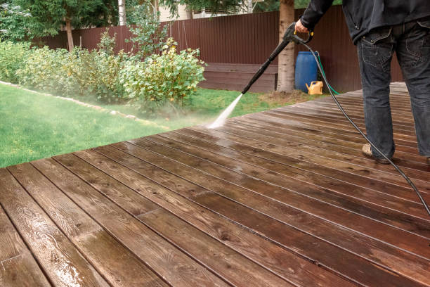 Best Fence Cleaning  in Marissa, IL