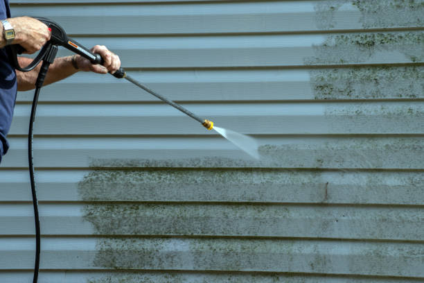 Best Solar Panel Cleaning  in Marissa, IL