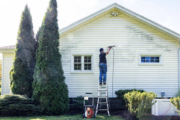 Best Rust Removal  in Marissa, IL